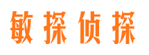 镜湖市私家侦探